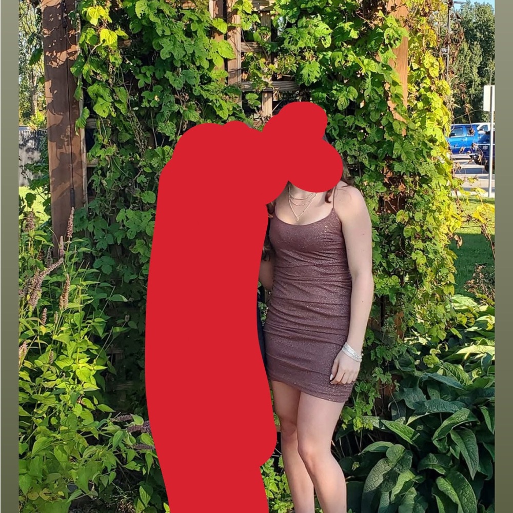 Windsor Chocolate Brown Dress